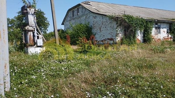 Земли коммерческого назначения, 1.25  гектар, 
