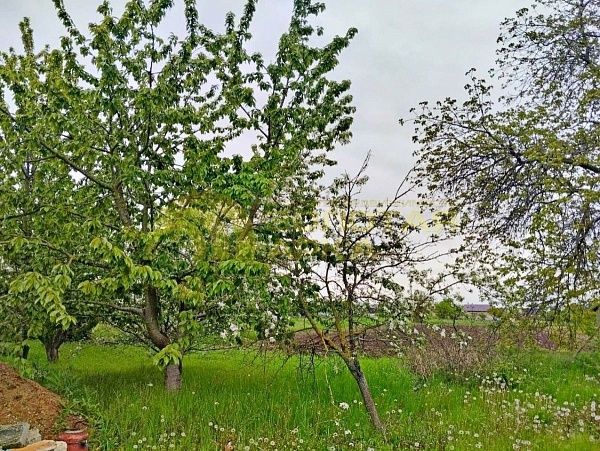 Участок, Краснодарский край, Славянский район, Шапарской