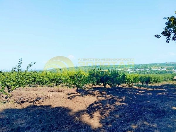 Земли коммерческого назначения, 7.8  гектар, 
