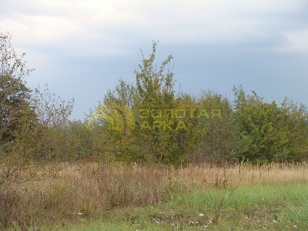 Участок