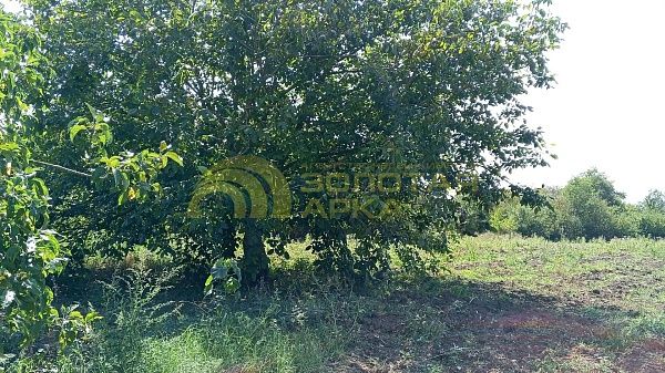 Участок