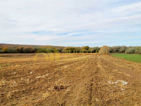 Участок, Краснодарский край, Крымский район, Южный-5 (село Новопокровское)