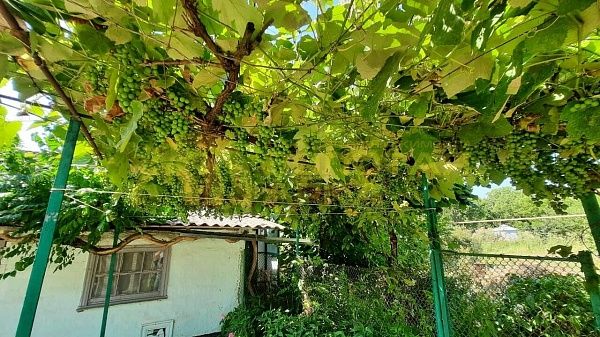 Дом с участком, 65 кв.м. Дом с участком, 65 кв.м.