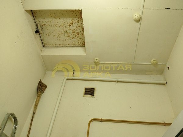 Помещения свободного назначения, 96.8  кв. м, 
